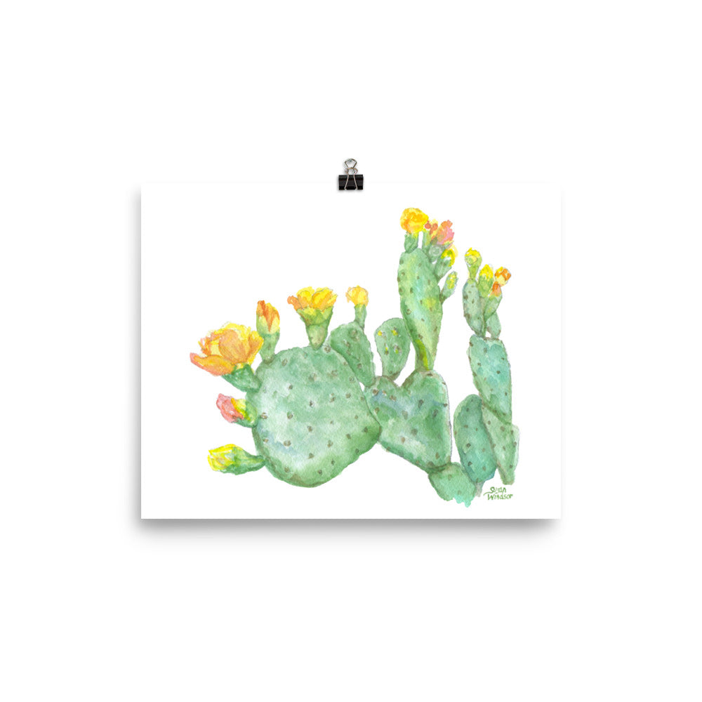 watercolor prickly pear cactus Prickly Pear Cactus Watercolor – Susan Windsor