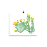 Prickly Pear Cactus Watercolor
