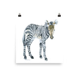 Baby Zebra Watercolor Print