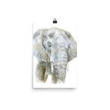 African Elephant Watercolor
