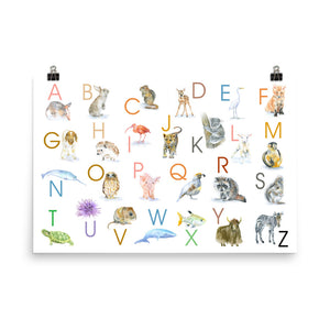 Animal Alphabet Poster - Horizontal 36x24