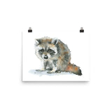 Raccoon Watercolor
