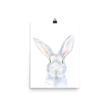 Gray Bunny Rabbit Face Watercolor