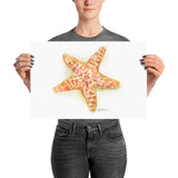 Sea Star Starfish Watercolor