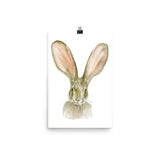 Jack Rabbit Watercolor