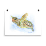 Sea Turtle Watercolor