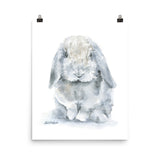 Mini Lop Rabbit Watercolor