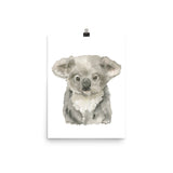 Koala Baby Watercolor