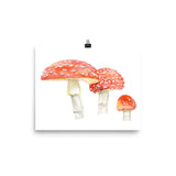 Toadstools Watercolor