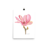Pink Magnolia Flower Watercolor