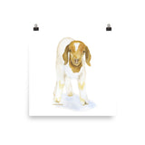 Goat Watercolor