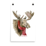 Moose in a Scarf Watercolor