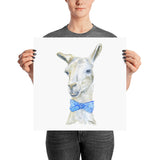 Llama with a Tie Watercolor