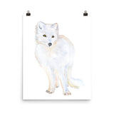 Arctic Fox Watercolor