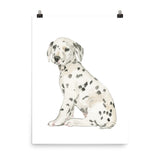 Dalmatian Puppy Dog Watercolor
