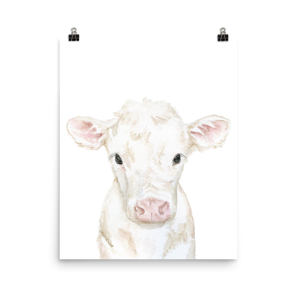 White Calf Watercolor Cow – Susan Windsor