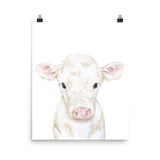 White Calf Watercolor Cow