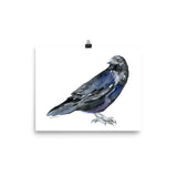 Raven Watercolor Print