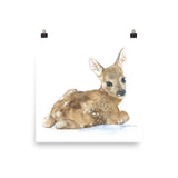 Deer Fawn Lying Down Watercolor