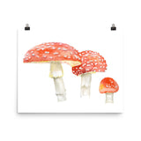 Toadstools Watercolor