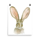 Jack Rabbit Watercolor
