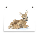 Deer Fawn Lying Down Watercolor