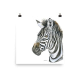 Zebra Face Watercolor
