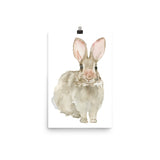 Cottontail Bunny Rabbit - Front - Watercolor Art Print