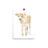 Jersey Calf Watercolor - Baby Cow