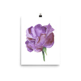 Purple Rose Watercolor