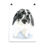 Black and White Lop Bunny Rabbit Watercolor