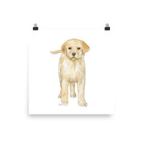 Yellow Labrador Puppy Dog Watercolor