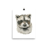 Baby Raccoon Face Watercolor