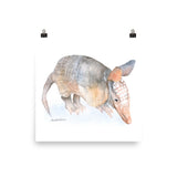 Armadillo Watercolor Print