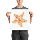 Sea Star Starfish Watercolor