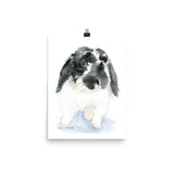 Black and White Lop Bunny Rabbit Watercolor