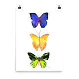 Three Butterflies Watercolor