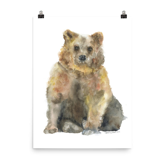 Brown Bear Watercolor