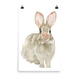 Cottontail Bunny Rabbit - Front - Watercolor Art Print