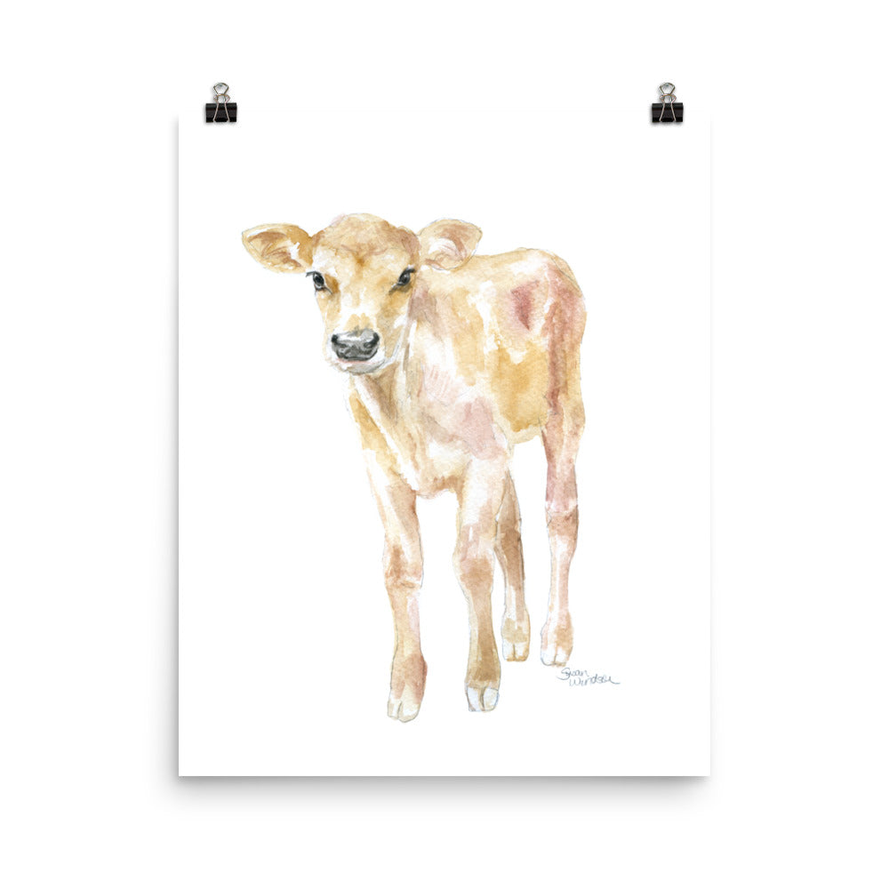 水彩壁絵 Watercolor *The Tender Calf Calf* Jersey Calf Watercolor - Baby Cow – Susan Windsor