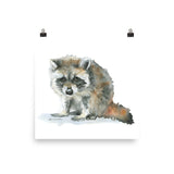 Raccoon Watercolor