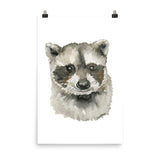 Baby Raccoon Face Watercolor