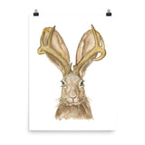 Jackalope Watercolor Painting Print