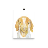 Nubian Goat Watercolor