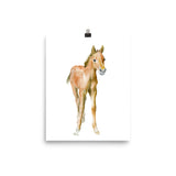 Foal Horse Watercolor Pony