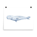 Sperm Whale Watercolor Art Print
