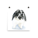 Black and White Lop Bunny Rabbit Watercolor