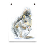 Squirrel Watercolor