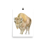 Bison Watercolor Print