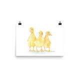 Ducklings Watercolor